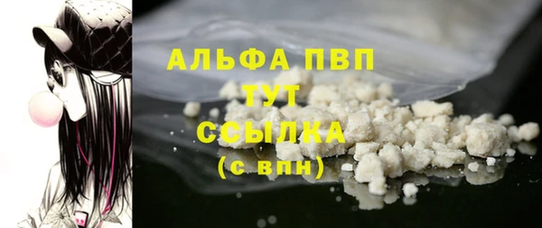 экстази Бородино