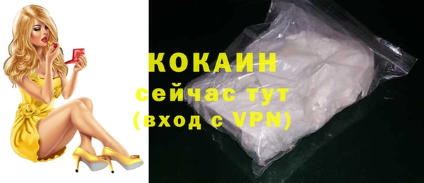 экстази Бородино
