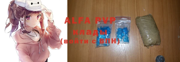 сатива Верея
