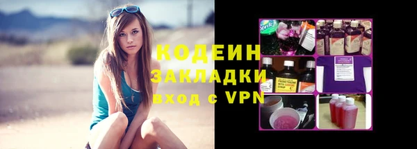 сатива Верея